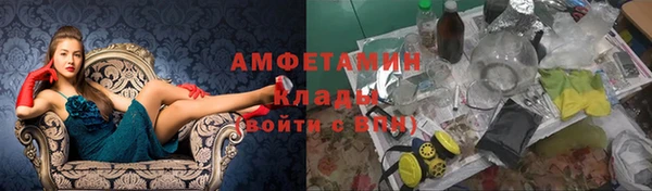 ГАЛЛЮЦИНОГЕННЫЕ ГРИБЫ Няндома