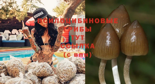 мет Аркадак