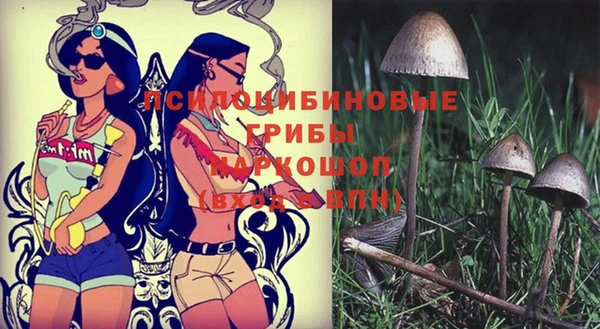 мет Армянск